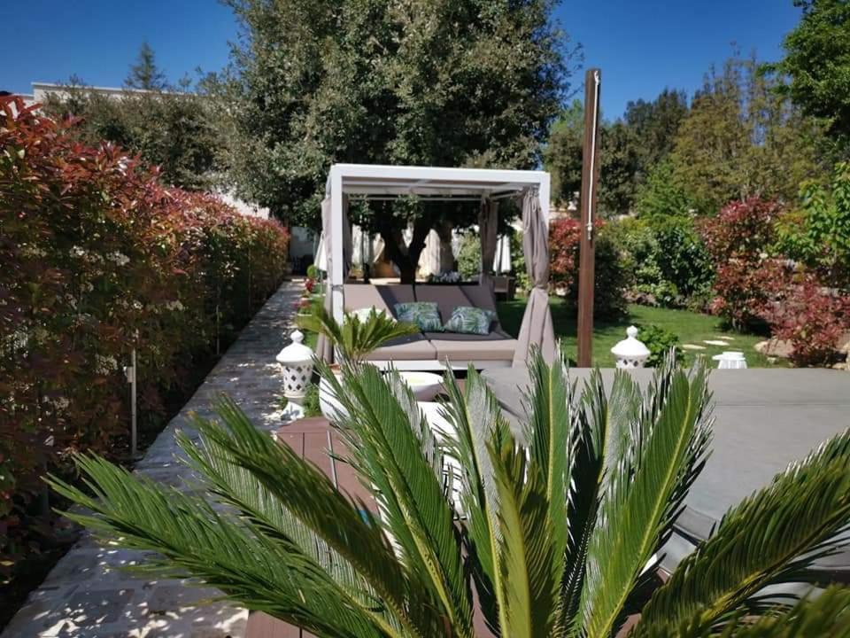 Apulia Dream B&B Le Lamie di Olimpe 外观 照片